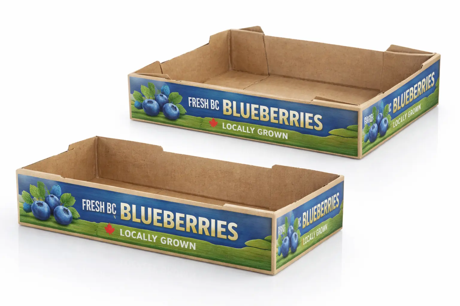 Packaging scalability for growing brands illustrated with retail-ready corrugated produce trays designed for high-volume distribution